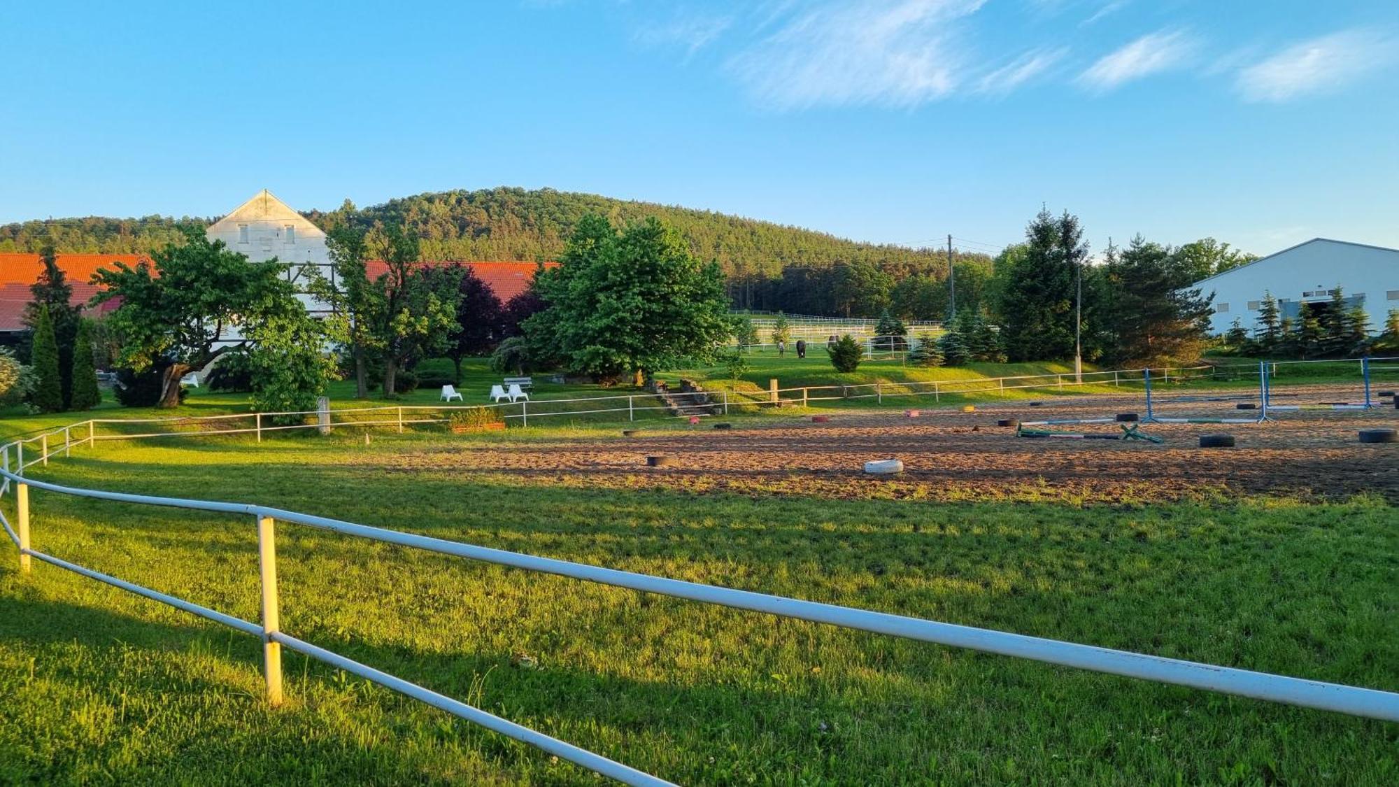 Villa Folwark Leszczynowka Srebrna Góra Exterior foto