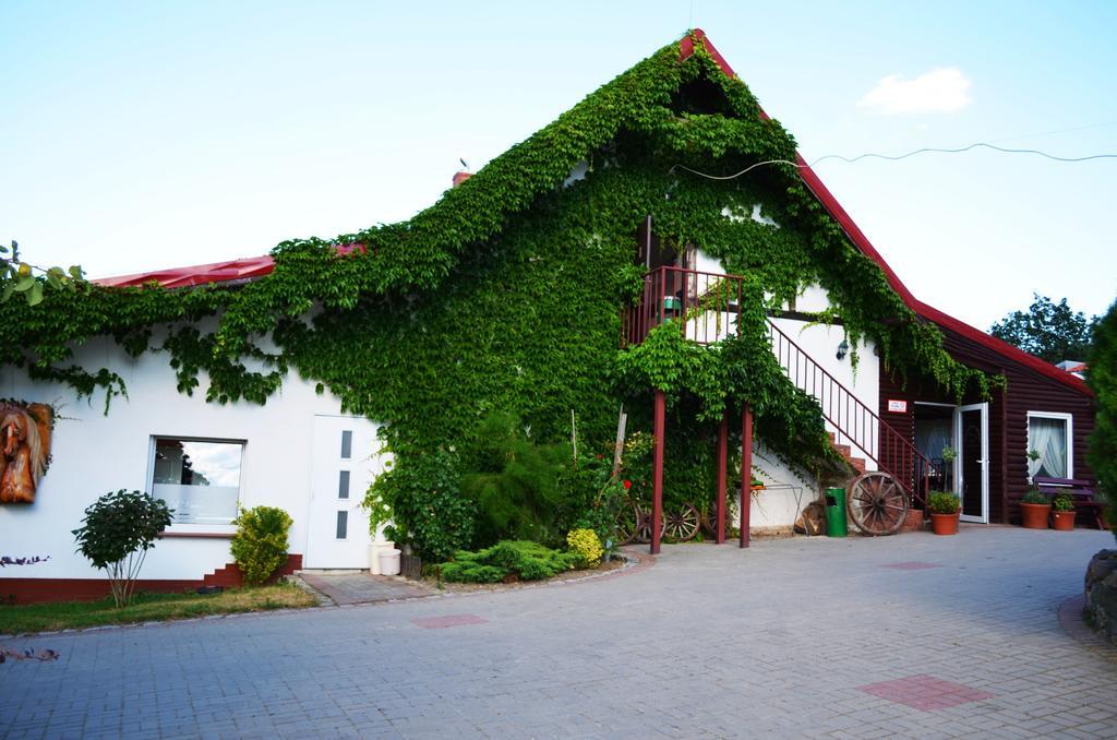 Villa Folwark Leszczynowka Srebrna Góra Exterior foto