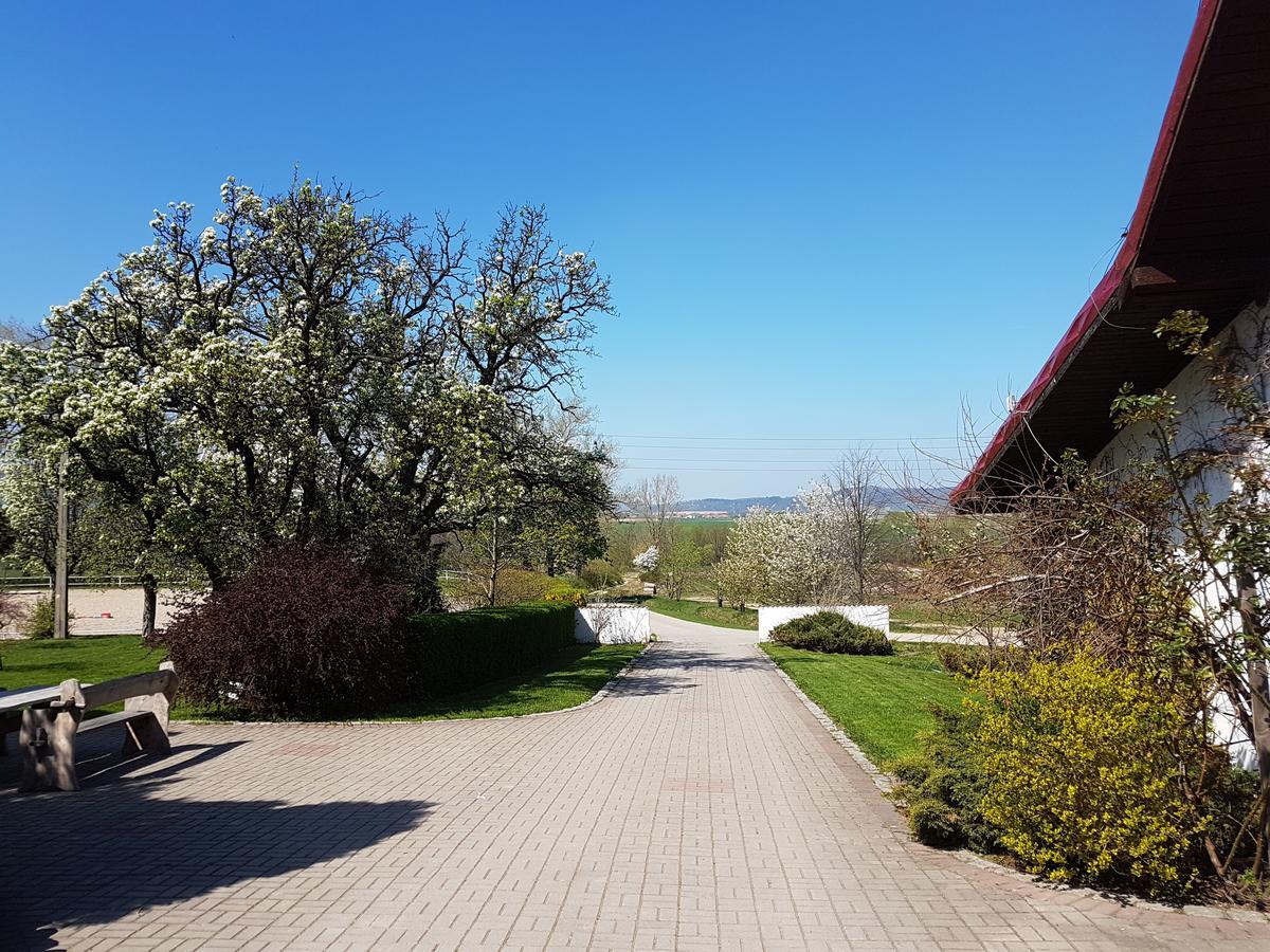 Villa Folwark Leszczynowka Srebrna Góra Exterior foto